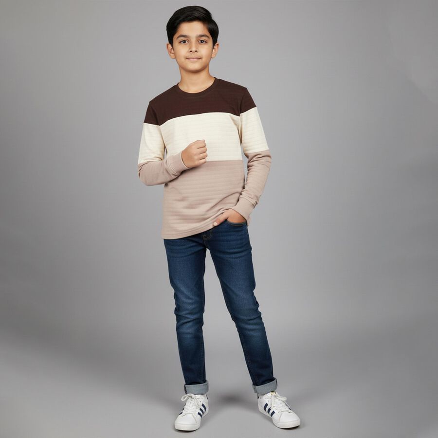 Boys' Brown and Beige Round Neck Casual T-Shirt, Brown, large image number null