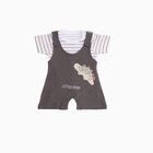 Infants' Grey Cotton Round Neck Dinosaur Applique Baba Suit, Charcoal, small image number null