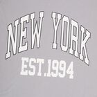 Boys' Light Grey Crew Neck Casual Full Sleeve T-Shirt, Light Grey, small image number null
