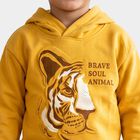 Boys Yellow Hoodie Neck Graphic Print Sweatshirt, Yellow, small