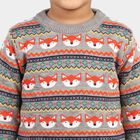 Boys Grey Crew Neck Printed Pullover, Light Grey, small