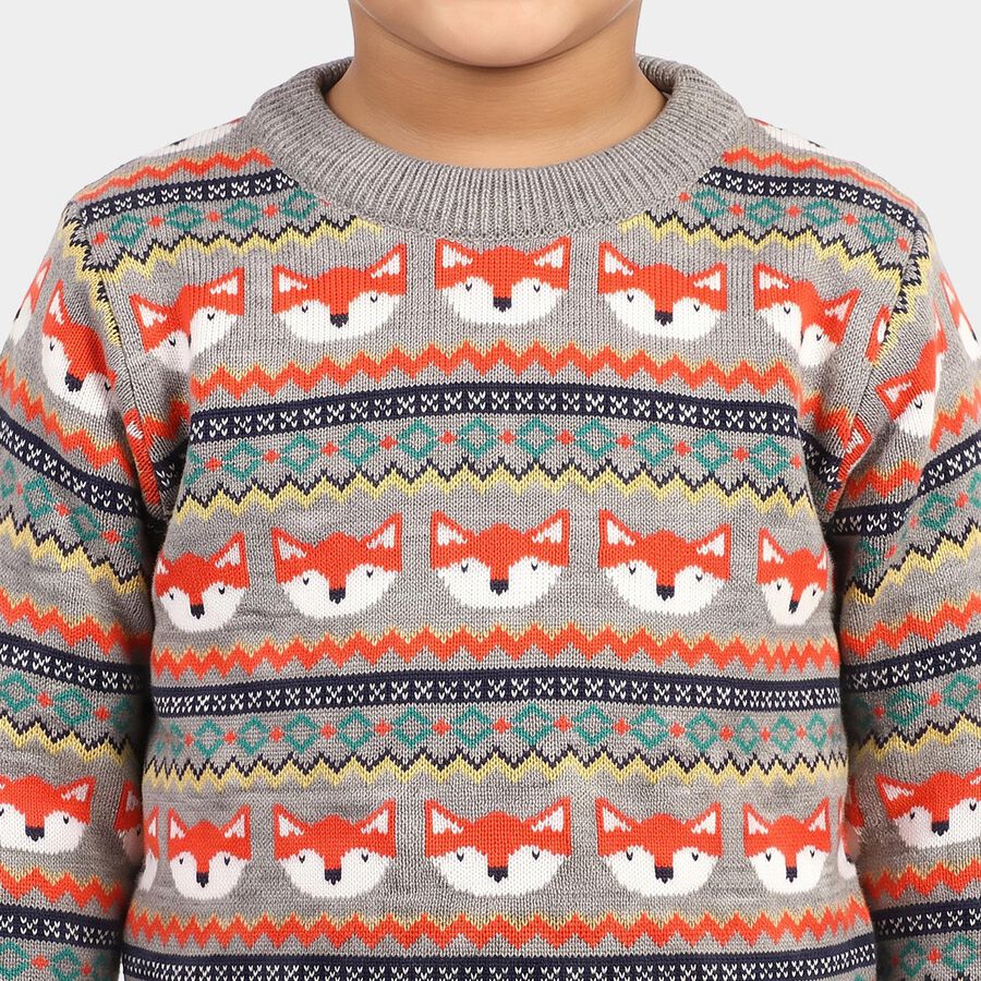 Boys Grey Crew Neck Printed Pullover, Light Grey, large
