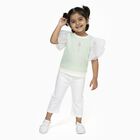 Girls Light Sage Green Round Neck Casual T-Shirt, Light Green, small image number null