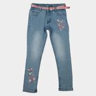 Girls Light Blue Skinny Fit Embroidered Jeans, Light Blue, small