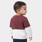 Infant's Purple and White Cotton Crew Neck Pullover Sweatshirt, बैंगनी, small