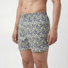 Men's Light Blue Regular Fit Solid Boxers, हल्का नीला, small