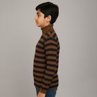 Boys Dark Brown and Navy Blue Turtleneck Casual Pullover, Brown, small image number null