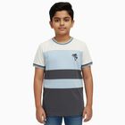 Boys' Half Sleeves T-Shirt, Charcoal, small image number null