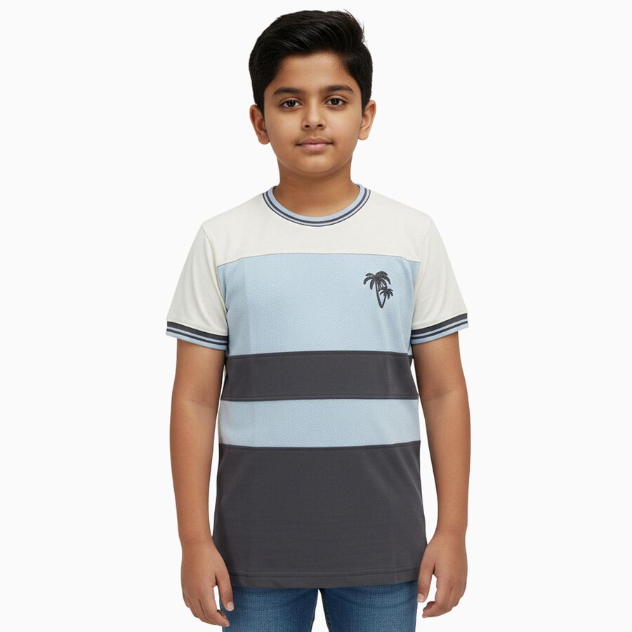 Boys' Half Sleeves T-Shirt, Charcoal, large image number null