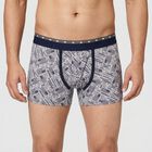 Men's Grey Regular Fit Printed Trunks, Light Grey, small