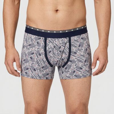 Men's Grey Regular Fit Printed Trunks
