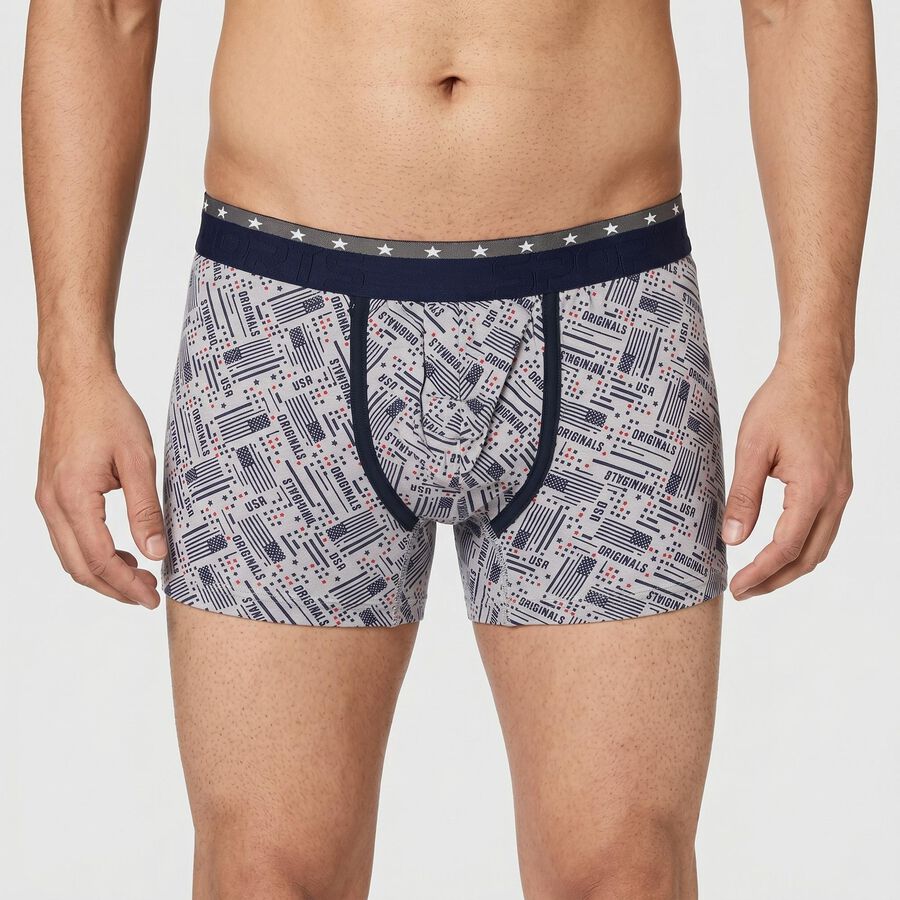 Men's Grey Regular Fit Printed Trunks, Light Grey, large