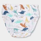 Boys' 100% Cotton Briefs , Light Green, small image number null