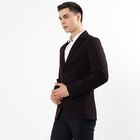 Men's Deep Wine Slim Fit Single-Breasted Blazer, वाइन, small image number null