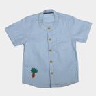 Infants Light Blue Mandarin Collar Regular Fit Shirt, हल्का नीला, small