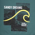 Boys Dark Teal Crew Neck Graphic Sweatshirt, Dark Green, small