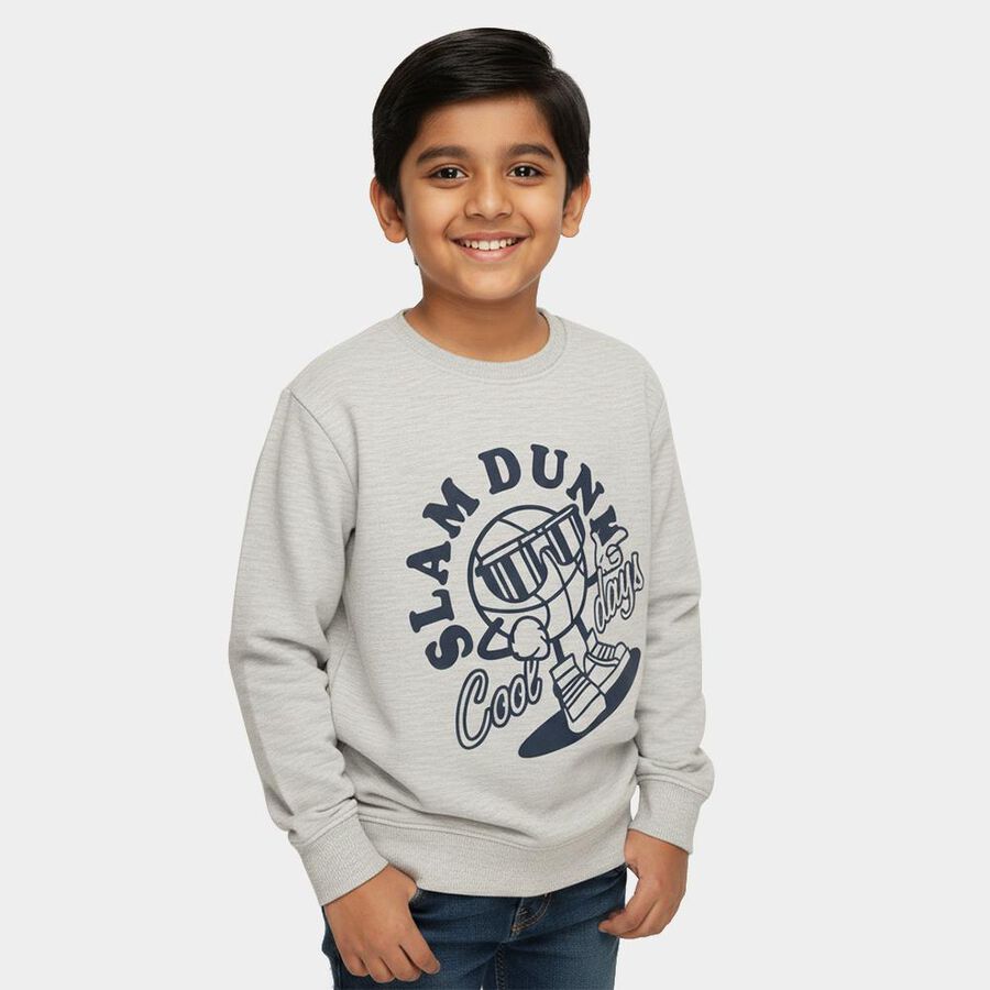 Boys Light Grey Crew Neck Graphic Sweatshirt, Ecru Melange, large