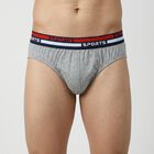 Men's Grey Cotton Regular Fit Briefs, मिश्रित हल्का ग्रे, small