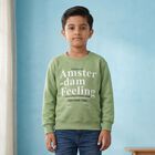 Boys' Green Round Neck Pullover Sweatshirt, हल्का हरा, small