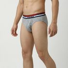 Men's Grey Cotton Regular Fit Briefs, मिश्रित हल्का ग्रे, small