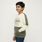 Boys Olive Green and Cream Crew Neck Casual Sweatshirt, ओलिव, small image number null
