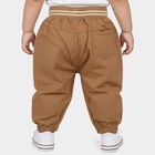 Infants Brown Jogger Fit Teddy Print Trousers, गहरा पीला, small