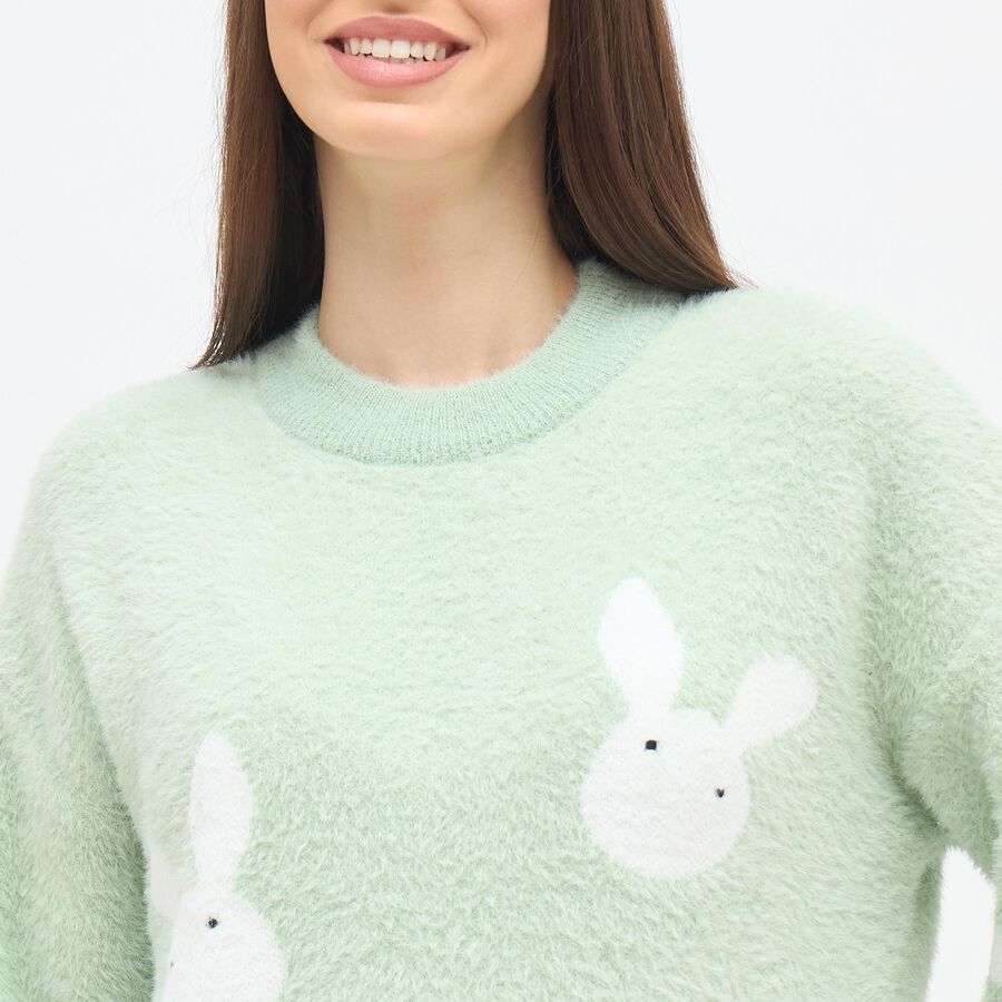 Ladies' Pullover, हल्का हरा, large image number null