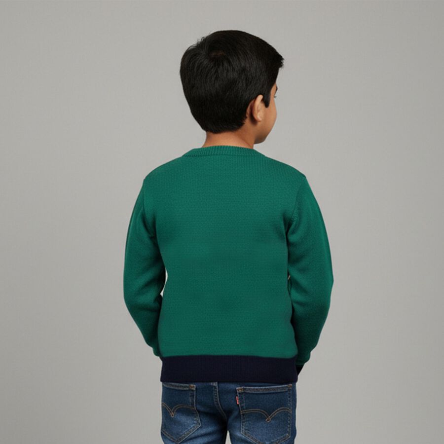 Boys Dark Green and Navy Crew Neck Casual Pullover, गहरा हरा, large image number null