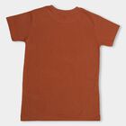 Boys' Rich Brown Round Neck Printed T-Shirt, भूरा, small image number null