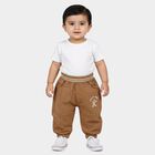 Infants Brown Jogger Fit Teddy Print Trousers, गहरा पीला, small