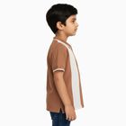 Boys' 100% Cotton Half Sleeves T-Shirt, भूरा, small image number null