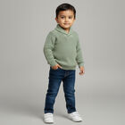Infants Light Sage Green Shawl Collar Knit Pullover, हल्का हरा, small image number null