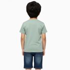 Boys Light Sage Green Cotton Crew Neck Casual T-Shirt, हल्का हरा, small image number null