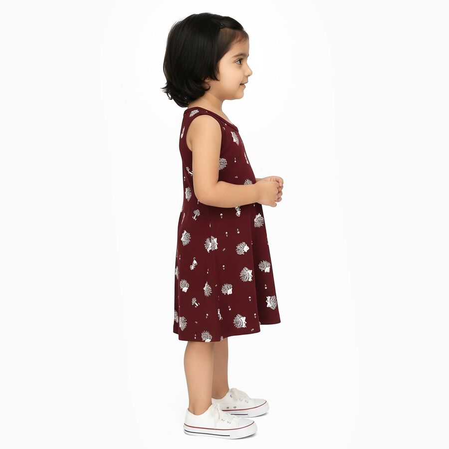 Girls' Maroon Printed Sleeveless A-Line Frock, Wine, large image number null