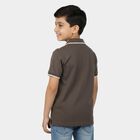 Boys' Charcoal Cotton Polo Neck Colorblocked T-Shirt, चारकोल, small