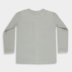 Boys' Light Sage Green Crew Neck Casual T-Shirt, Light Green, small image number null