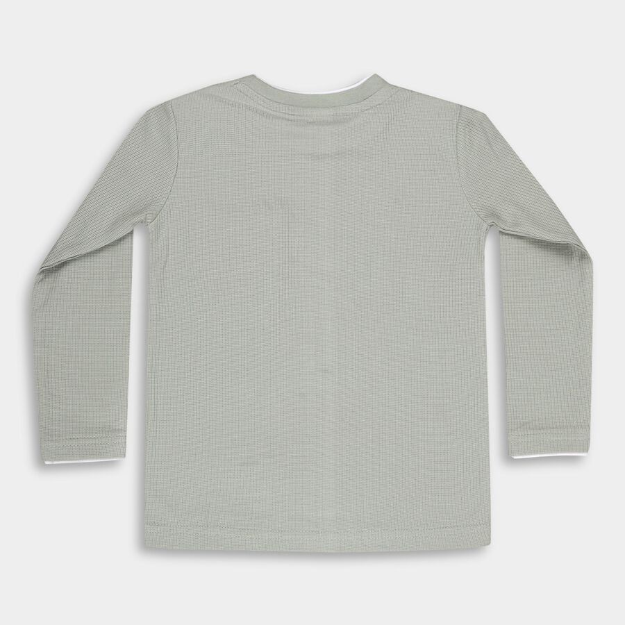 Boys' Light Sage Green Crew Neck Casual T-Shirt, Light Green, large image number null
