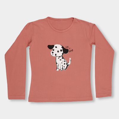 Girls Dusty Rose Pink Round Neck Casual Full Sleeve Top