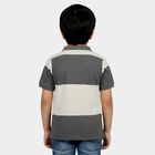 Boys Mid Blue Polo Neck Casual T-Shirt, मध्यम नीला, small