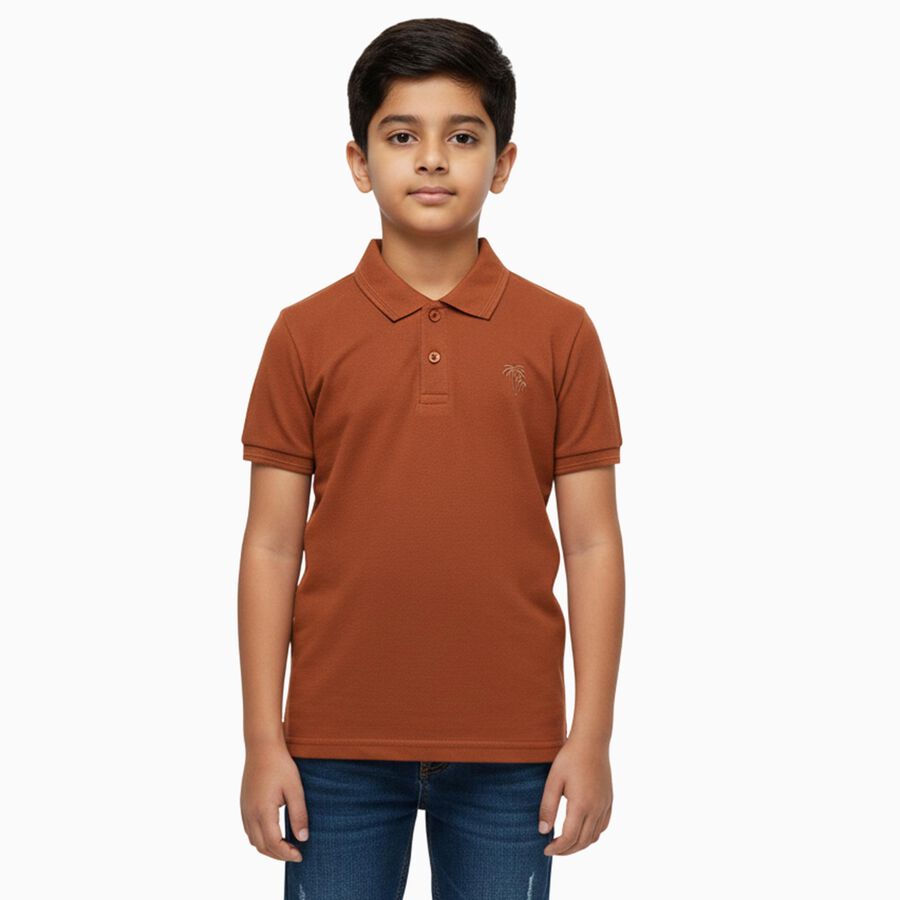 Boys' Half Sleeves T-Shirt, Brown, large