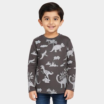 Boys' Charcoal Grey Round Neck Casual T-Shirt