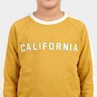 Boys' Mustard Crew Neck Raglan Sleeve Graphic Print Sweatshirt, मस्टर्ड, small