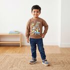 Boys Brown Crew Neck Graphic Print Sweatshirt, Brown, small
