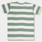Boys' 100% Cotton Half Sleeves T-Shirt, Light Green, small image number null