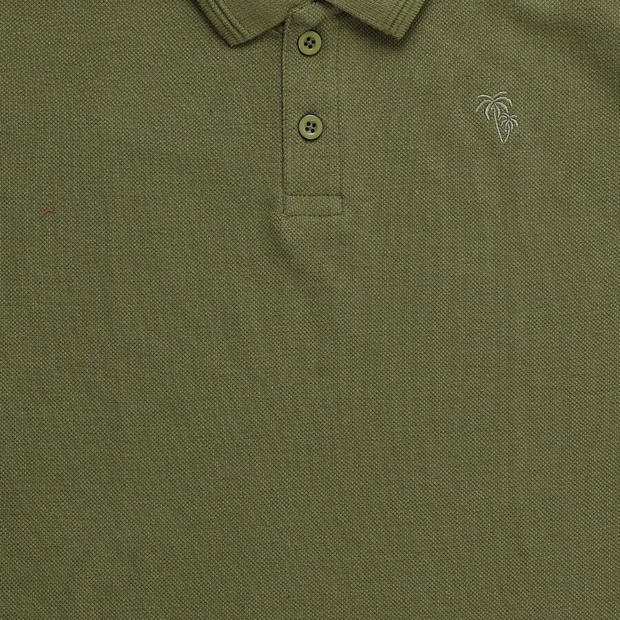 Boys Muted Olive Crew Neck Casual Half Sleeve T-Shirt, Olive, large