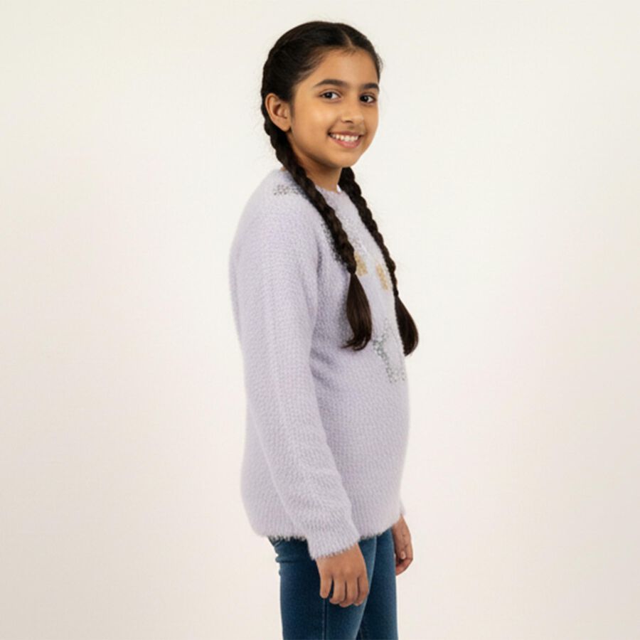 Girls' Soft Lavender Crew Neck Casual Pullover, लाइलेक, large image number null