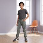 Boys Grey Straight Fit Stretchable Jeans, Light Grey, small