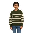 Boys Olive Green Crew Neck Striped Pullover, ओलिव, small image number null