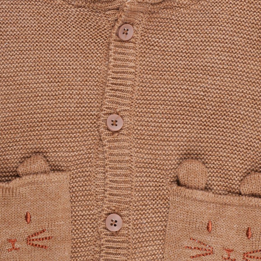 Infants Warm Chestnut Brown Hooded Casual Pullover, भूरा, large image number null