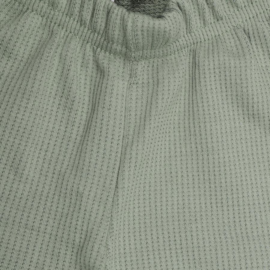 Boys' Basic Bermuda , Light Green, large image number null